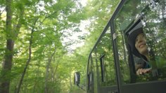 未来の奥入瀬渓流を体験するエコツアー「早朝ランブリングツアー」を8月8日から開催