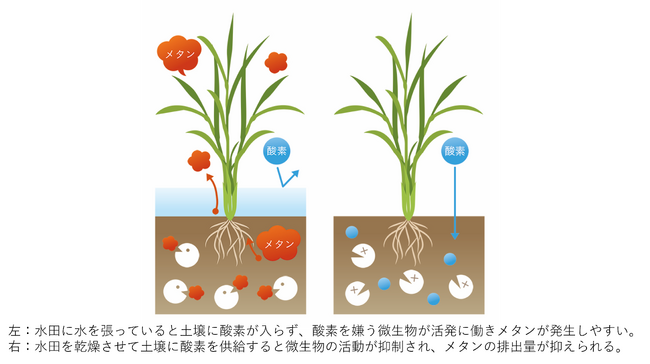出光興産、Green Carbonが二国間クレジット制度に基づくカーボンクレジット創出を推進