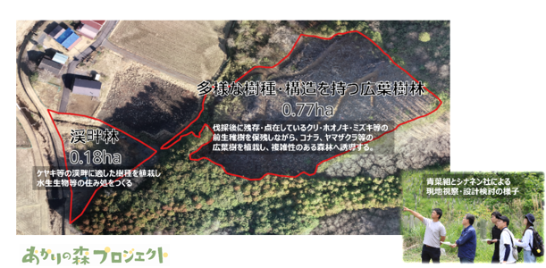 「シナネンあかりの森プロジェクト」が青葉組株式会社の自然資本共創プログラムaobaへの支援を開始しました