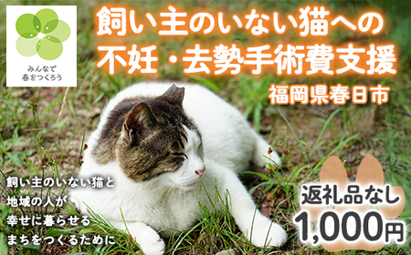 【福岡県春日市】飼い主のいない猫の命と地域での幸せな暮らしを守るため、ふるさと納税による寄附募集を開始