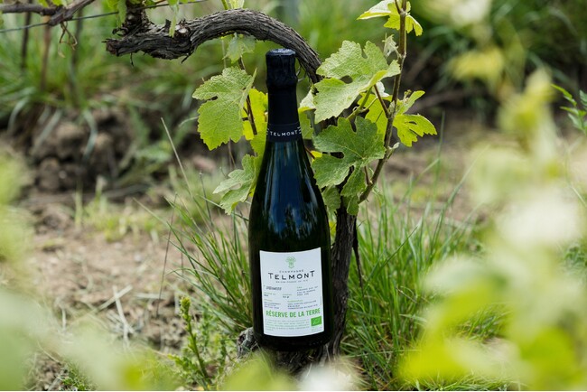 サステナブルなアプローチでシャンパーニュの新時代を切り拓くテルモン有機栽培の葡萄のみを使用した「レゼルヴ・ド・ラ・テール（オーガニック）」、2021年ヴィンテージを使用した商品をリリース