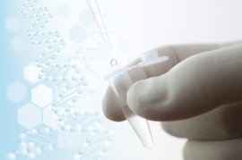 生原基対応プラスミド製造イメージ