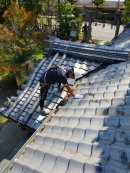 屋根の日活動写真 屋根の日活動写真