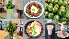 道の駅ローズマリー公園 はなまる市場「夏だ！海だ！はなまる夏まつり2025」開催！2025年8月9日(土)～17日(日)