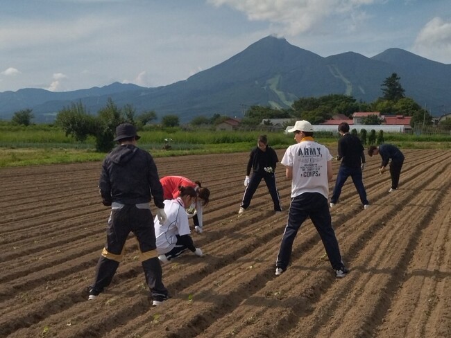 【武蔵野大学】2,800名超の学生がキャンパスを飛び出し国内外の地域課題や歴史文化に現地で向き合う 武蔵野大学12学部20学科の1年生　夏休み必修科目武蔵野大学フィールド・スタディーズ開講