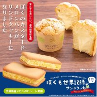 まるで“あのメロンパン”！？世界記録の味を、おみやげに。『ぼくも世界記録とりたいなサンドクッキー』8月8日(金)新発売！