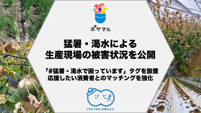 ポケットマルシェが記録的猛暑と渇水の影響を受けた生産者の調査結果を公開　生育不良を訴える声が多数、収穫量が例年の3分の1程度の生産者も