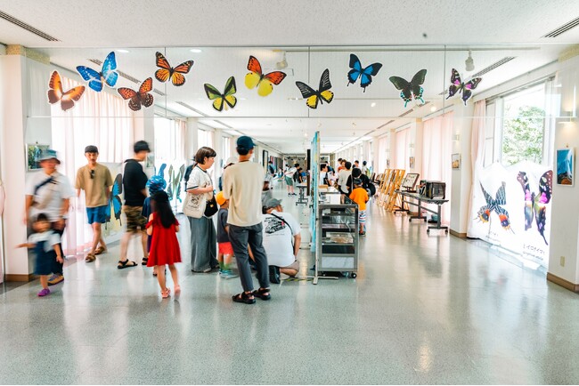 子どもたちの自然への探究心を育む蝶の個展「むし展～かわひらこ～」開催レポート。和歌山県最大規模の蝶展に予想上回る約1,000人が来場！
