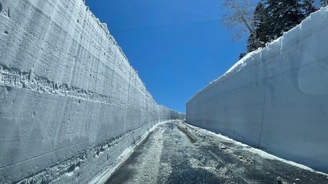 「令和7年度東北地方整備局管内業務発表会」にて除雪支援システム「SRSS」に関する論文が最優秀賞を受賞