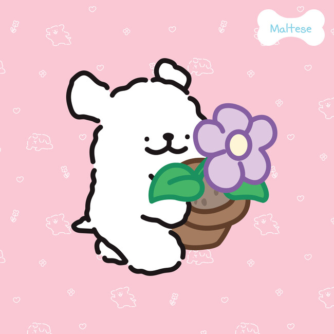 「Maltese｜モルチーズ」わんこカップルのスタンプが8月6日より販売開始