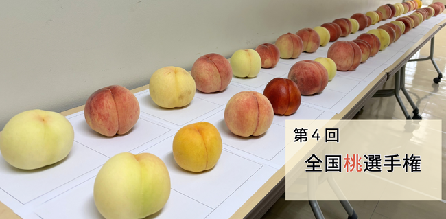 おいしい「桃」NO.１が決定！日本一は、山梨県甲州市「まるみや農園／甘麗露（アマレーロ）」が最高金賞を獲得！