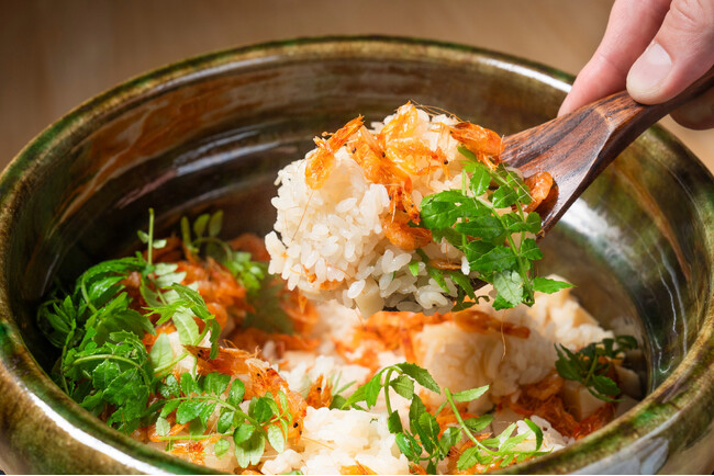 【衝撃のデビュー】オープン直後、ミシュランガイド掲載の快挙！赤坂の新たな美食の舞台「あかさか割烹和史」、世界がその才能を即座に認めた。