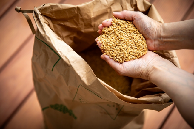 東京科学大学認定ベンチャー称号授与企業aiwell株式会社、備蓄米と令和６年産米のタンパク質解析を実施。データ傾向に大きな違いは無く、備蓄米における品質を確認。
