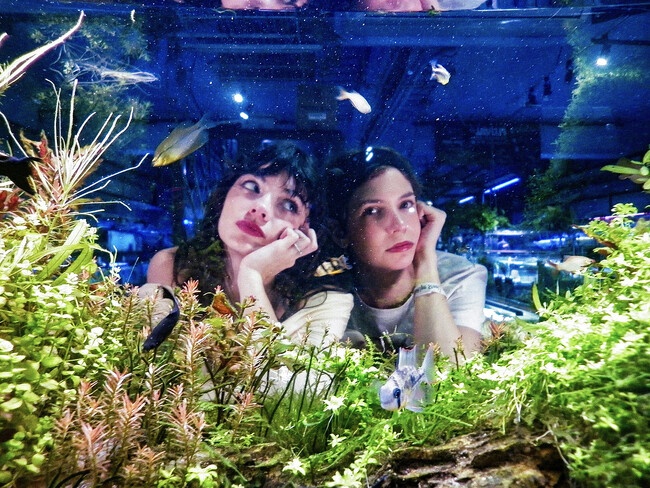 アルゼンチン発のインディーロックデュオPACIFICA（パシフィカ）ニューシングル「Fixer Upper」をリリース、同時にMVを公開