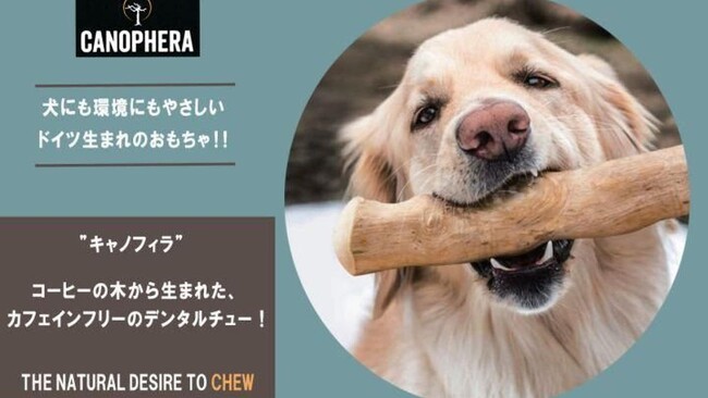 【コーヒーの木から生まれた犬用おもちゃ「CANOPHERA（キャノフィラ）」】かじる楽しみが寄付につながる！補助犬支援にも参加できるクラウドファンディング開始