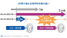 世界最先端の老化研究からわかった、腸内細菌の大事な役割　新コラム『PoA(老化スピード)は変えられる！？』を8月7日にwebサイトで公開