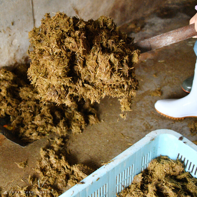 いのちのヒミツは“うんこ”にあった！？『どうぶつのうんこツアー ～サイのうんこを探求しよう～』夏休みの自由研究にもおすすめ！サイの寝室に潜入する特別ツアー