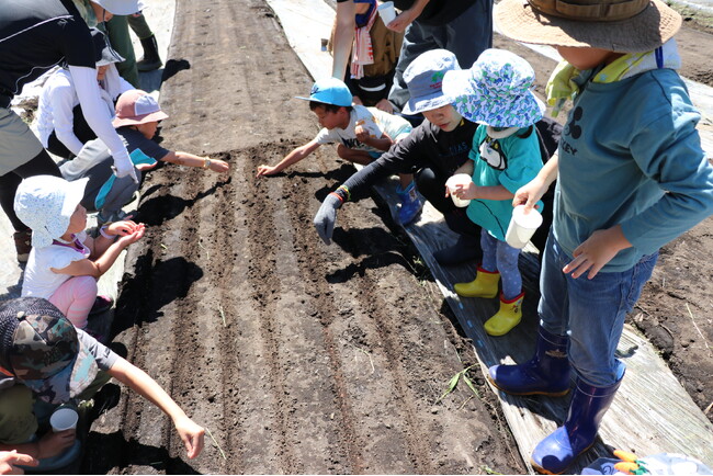 採れたて春菊や水菜をサラダでパクリ　高崎市で夏の農業体験　8月23日（土）9月6日（土）〔群馬〕