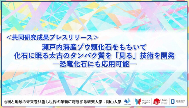 瀬戸内海産ゾウ類化石をもちいて化石に眠る太古のタンパク質を「見る」技術を開発 ―恐竜化石にも応用可能―