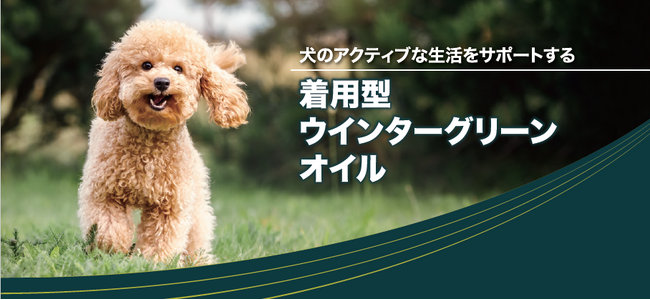 愛犬のアクティブな生活を支える“着用型”エッセンシャルオイル「プロアクティブカラー」「プロアクティブメダリオン」アニマートでの取扱開始