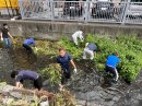 2025年5月清掃活動写真　ホタルが“住みたい”と思える川にしたい