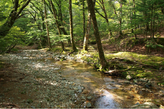 【JAF奈良】JAFデー　奈良山岳ガイドの岩本泉治さんと歩く、初秋の大台ケ原（西大台）トレッキング