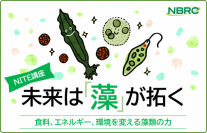 未来は『藻』が拓く！無料セミナー開催　－食料、エネルギー、環境を変える藻類の力－