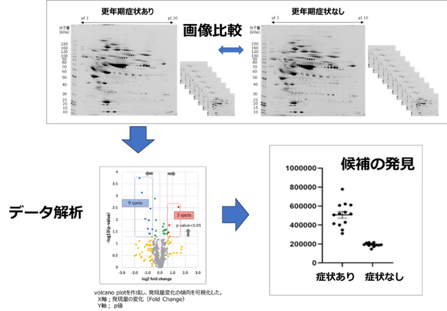 東京科学大学認定ベンチャー称号授与企業aiwell株式会社、ホットフラッシュや気分変動などの更年期症状に関与するバイオマーカーを発見。臨床試験を目指す。