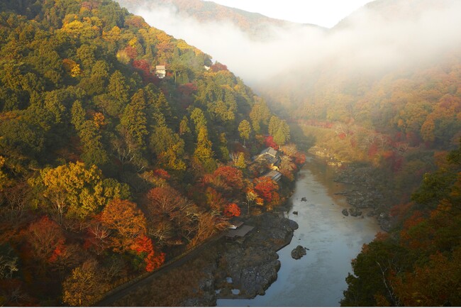 【星のや京都】奥嵐山の紅葉とともに、平安の雅を紐解く。日本古来の文化を堪能する秋の催しを開催
