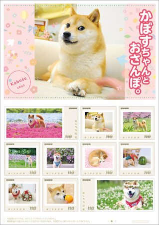 【千葉県佐倉市】世界一有名な柴犬・かぼすちゃんの魅力が存分に伝わるオリジナル フレーム切手が完成（9/8～販売開始）