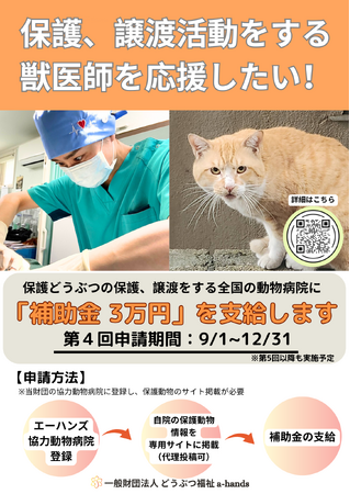 獣医師による保護猫・保護犬の保護・譲渡活動に補助金を支給　新制度『医療チケット』スタート