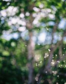 参考作品「FLOWER」写真学科4年 JIA NAN