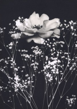 参考作品「FLOWER」写真学科4年 高橋 桃夏