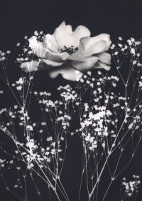 日本・スウェーデン写真学生による国際共同プロジェクト2025開催