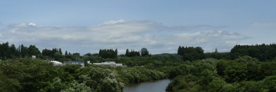 福地ホワイト原種・幻の「苫米地ニンニク」の保護・継承を目指す　最後の栽培者が貴重な食文化のためのクラウドファンディング開始