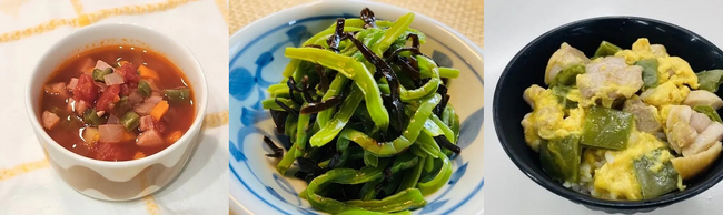 綿半から新野菜の提案！食用サボテンのブランド「SABOVEG」（サボべジ）からサボべジマイスターが誕生！