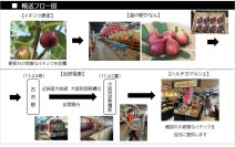 ～近鉄電車による貨客混載輸送を今年も実施～河南町の新鮮な朝採れイチジクを、ハルチカマルシェで即日販売します！