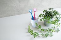 “口腔ケア”で注目が集まる「舌診」とケアについてSHIKIEN公式HPにて情報を公開