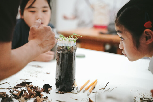 【開催レポート】プチバトー・サマースクール2025　子どもたち423名が“自然とのつながり”を体感