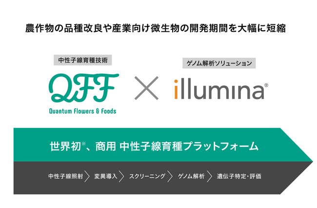 【QFF】世界初※の『中性子線育種プラットフォーム』を本格商用化