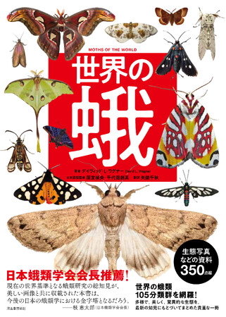 【“蛾”を愛するすべての人に！】貴重なヴィジュアル多数掲載。奥深い蛾の世界を知るための決定版『世界の蛾』、9月29日発売決定。
