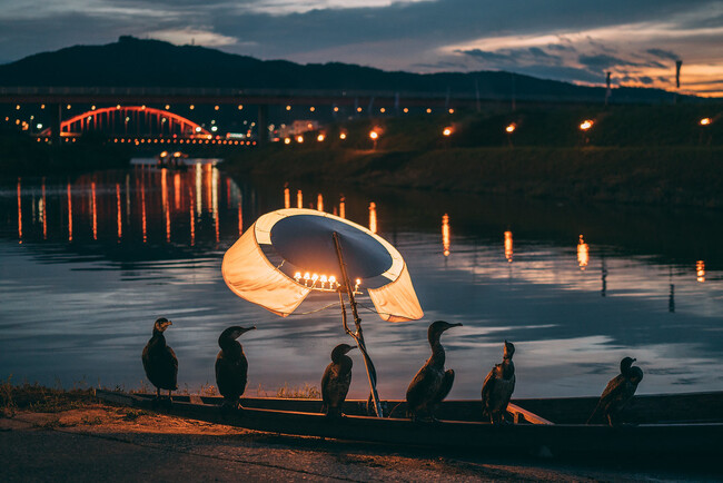 【JAF広島】全国唯一・鵜舟と遊覧船が並走する「三次の鵜飼」体験