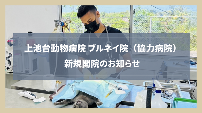 【新規開院】上池台動物病院グループが海外協力病院「ブルネイ院」を開院