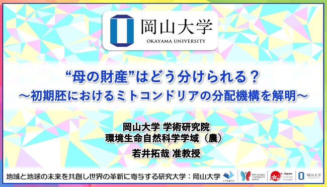 【岡山大学】“母の財産”はどう分けられる?~初期胚におけるミトコンドリアの分配機構を解明~