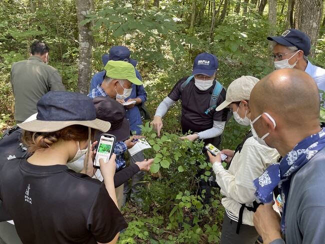 【岐阜県飛騨市】日本一の森林率を誇るまちで楽しむ「森フェス」～薬草と森を楽しむ特別なひとときを