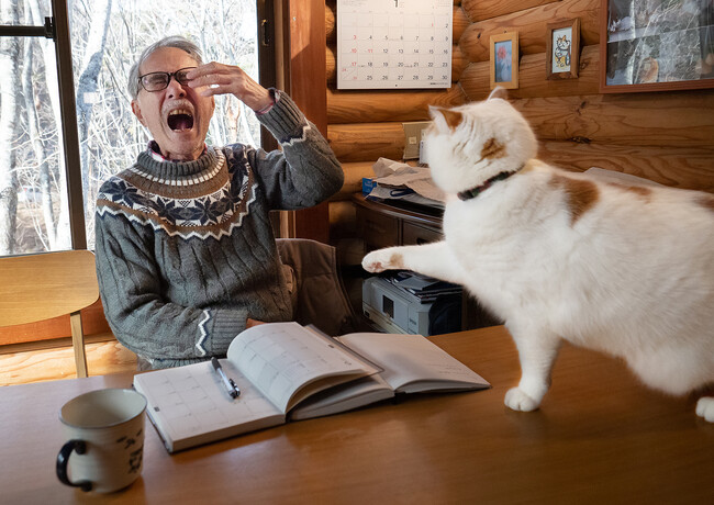 父「とにかく重くて苦しい」午前３時にお父さんのお腹にダイブするあの猫が写真集に。『メイ先輩』発売