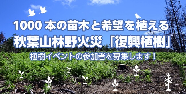 秋葉山の再生へ!1,000本の苗木と希望を植える植樹イベントを開催