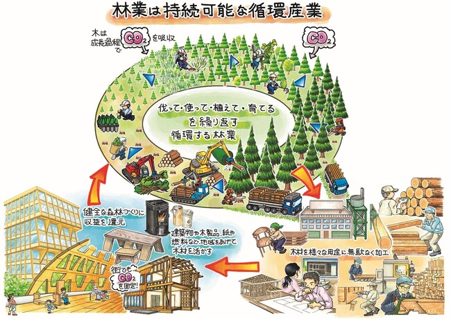 綿半建材が「伐る・使う・植える・育てる」を柱とした森林の再生に向け、長野県飯田市千代の山林　約1,500haを取得