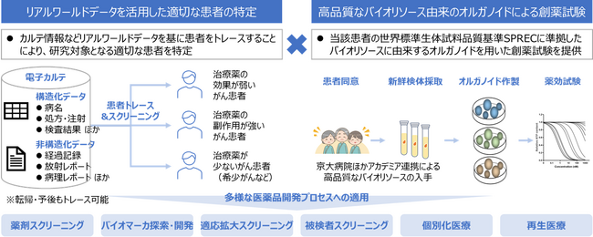 日本初、オルガノイド利活用サービス「OrganoInsight(TM)」を提供開始 ～高品質バイオリソースとリアルワールドデータの融合で、創薬・個別化医療に新たな価値を創出～