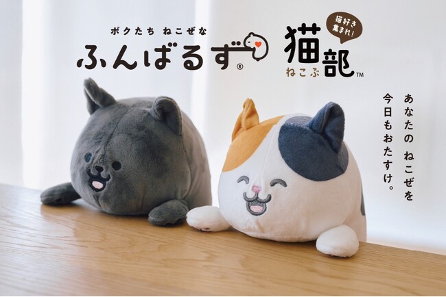 猫背なあなたをサポートする猫さん！大人気『ふんばるず』のフェリシモ「猫部(TM)」コラボが新発売！８月30日（土）から東京・大阪で販売。